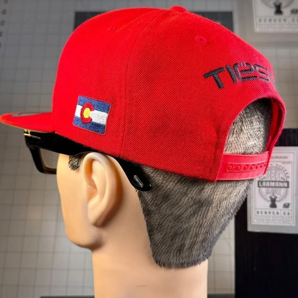 Tiësto®  |  SNAPBACK HAT  |  DUTCH DJ  |  NEW  |  RARE!  |